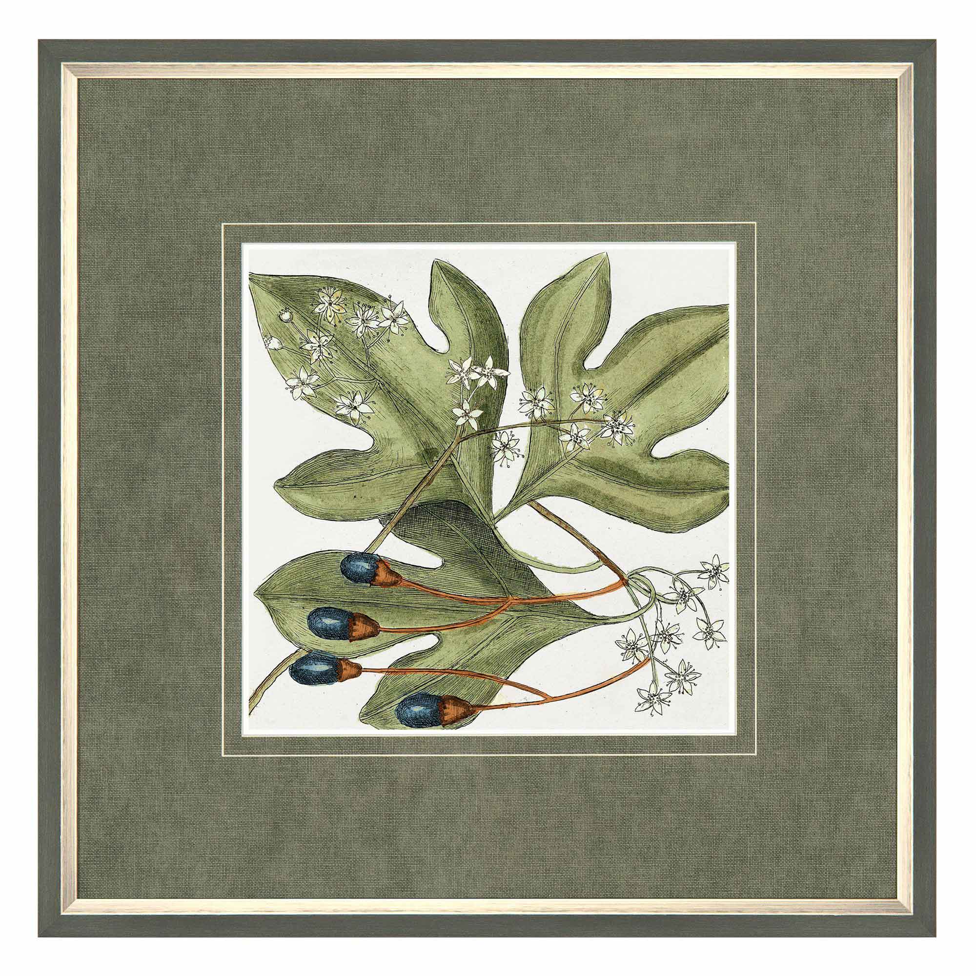 Botanical Square Framed Wall Art