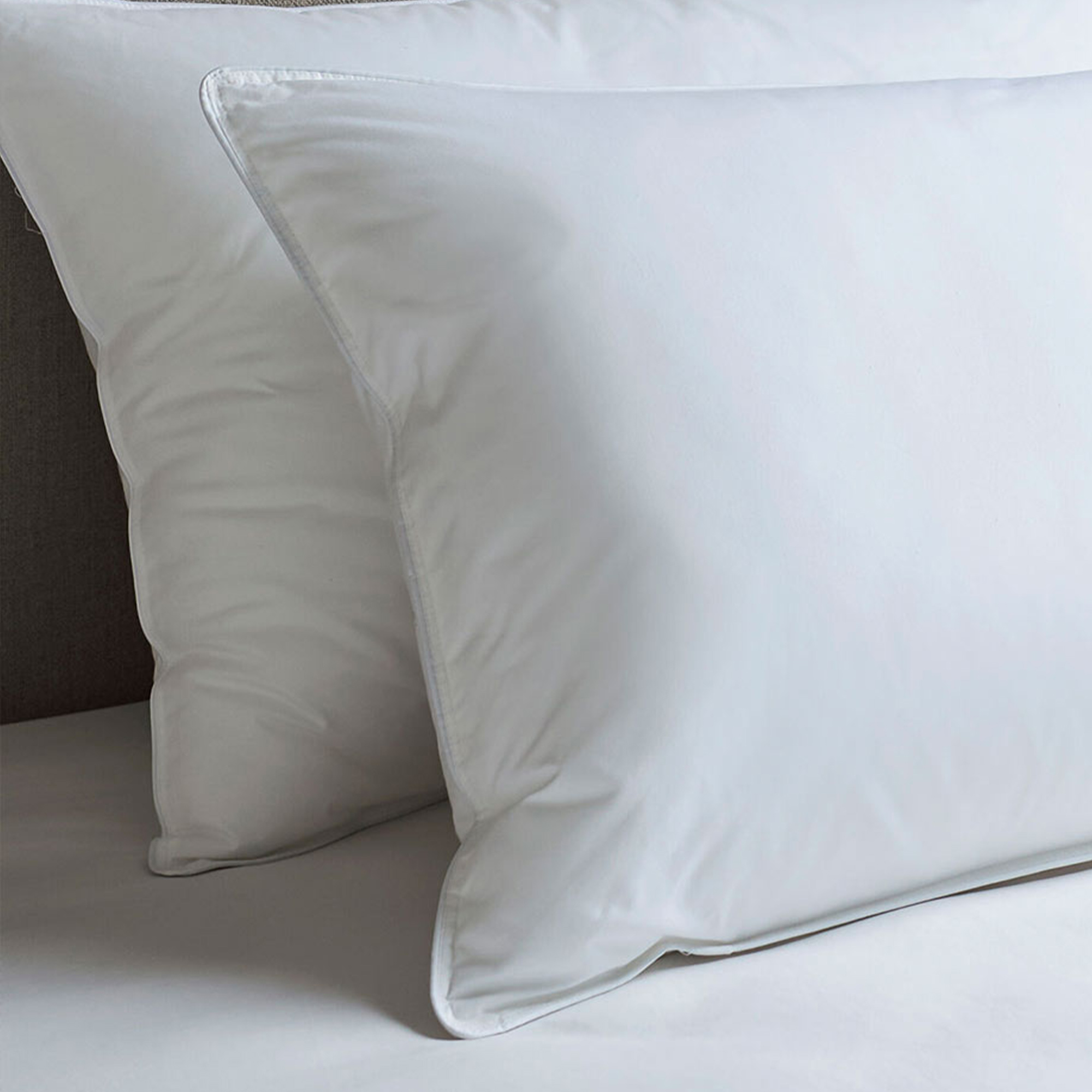 Pair of European Feather and Down Pillows