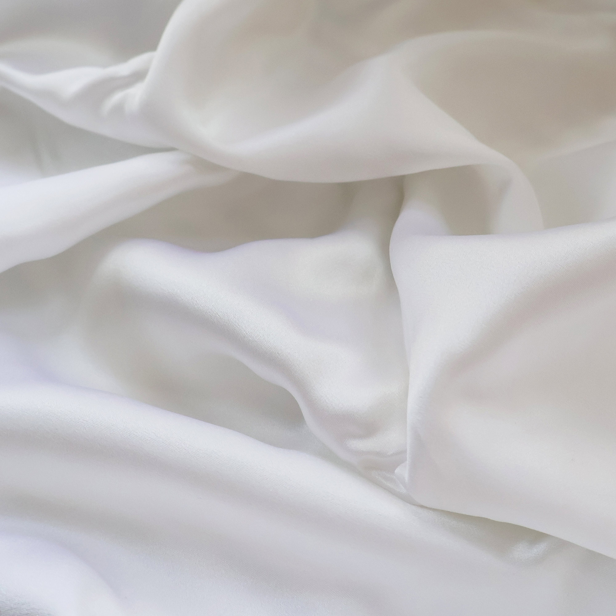 Pair of Silk Pillowcases