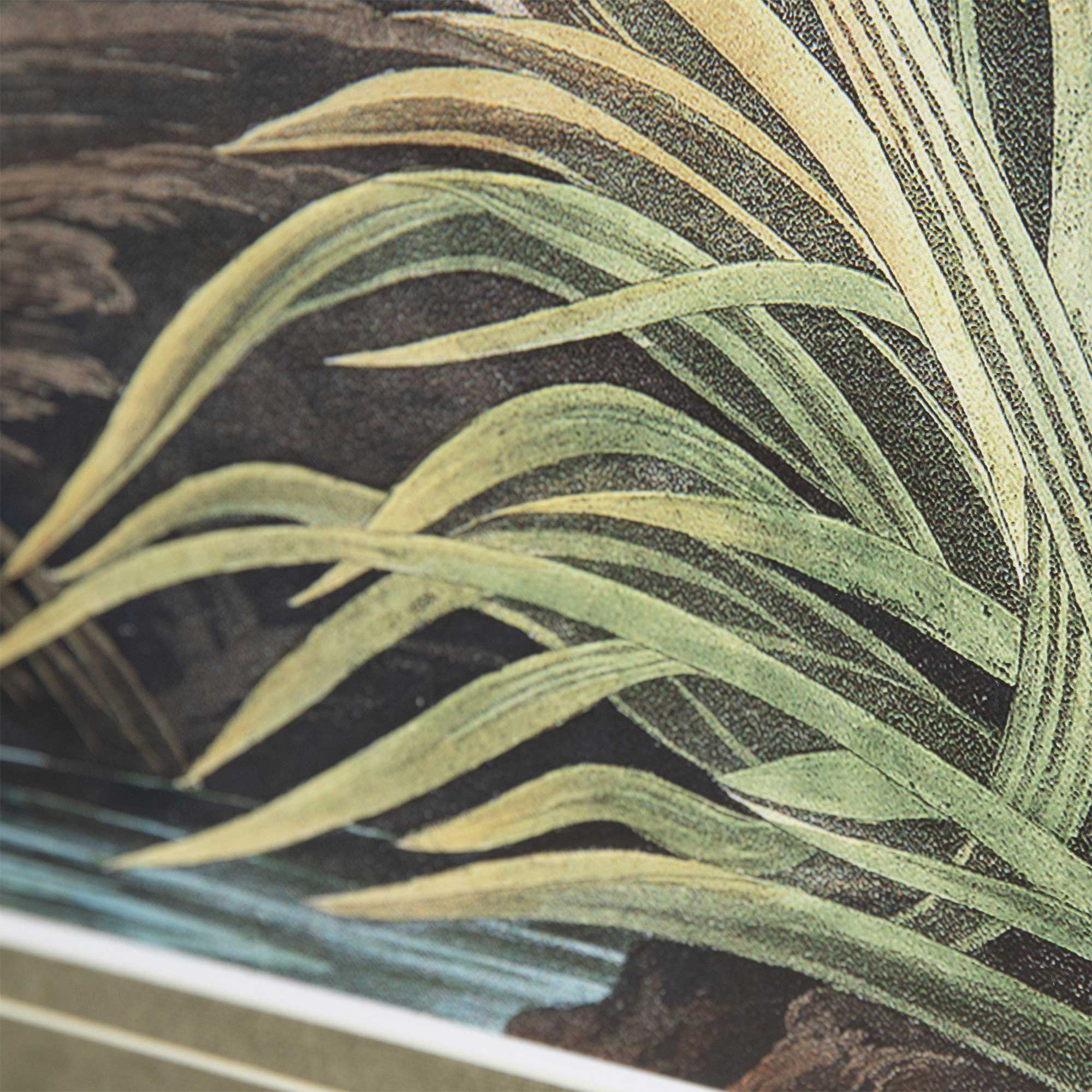 Vintage Blue Heron Wall Art, by John James Audubon